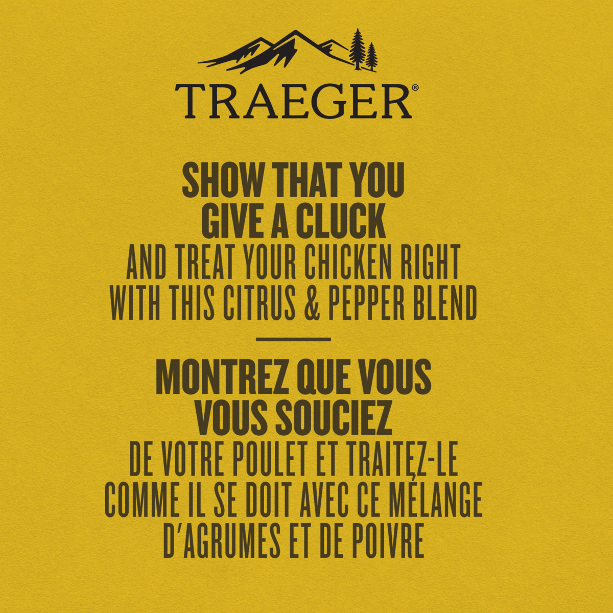 Traeger | Chicken Rub - Mazdak Leisure