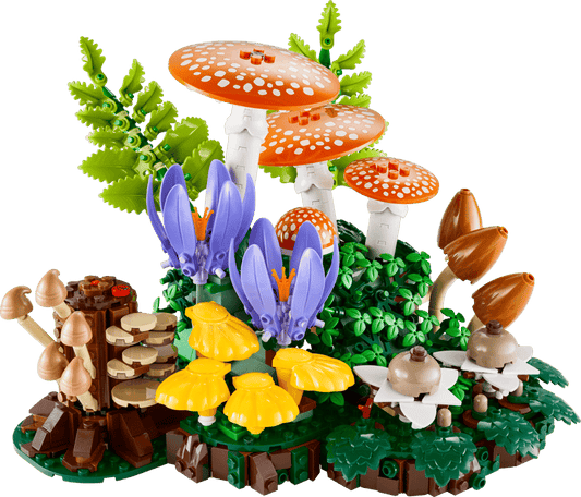 Botanicals | Woodland Mushrooms