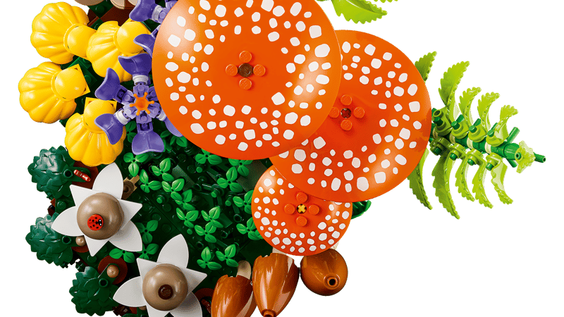 Botanicals | Woodland Mushrooms
